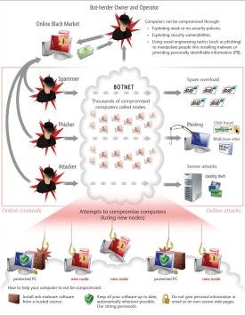 Infographic  Botnet in Action pic